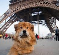 téléchargement (23)