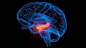 téléchargement (14)